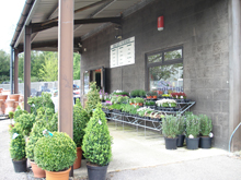 <b>Shop at Bolney Nursery</b> Highslide JS