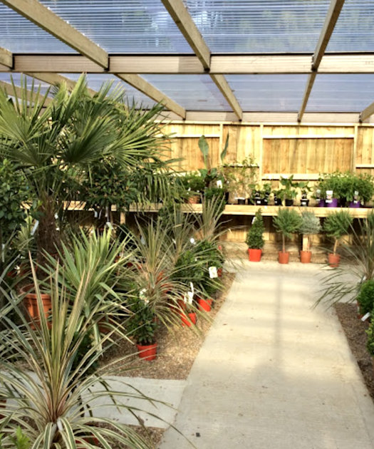 Bolney Nursery,Bolney